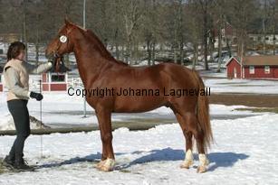 redcommander_164_6469.jpg
