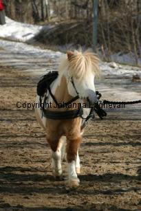 rfmboogertoosrainmaker_164_6422.jpg