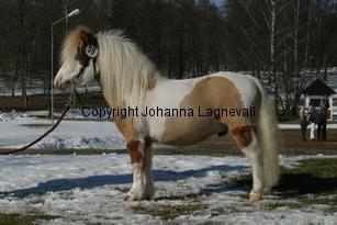 rfmboogertoosrainmaker_164_6452.jpg