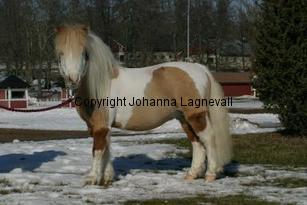 rfmboogertoosrainmaker_164_6456.jpg