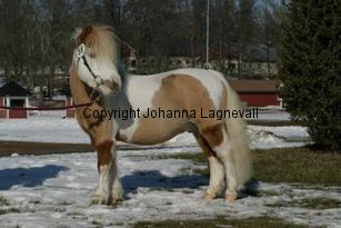 rfmboogertoosrainmaker_164_6457.jpg