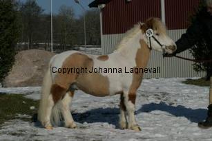rfmboogertoosrainmaker_164_6459.jpg