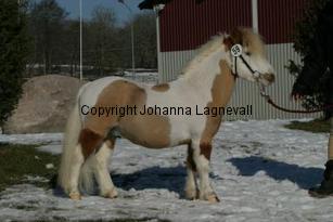 rfmboogertoosrainmaker_164_6462.jpg
