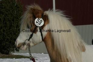 rfmboogertoosrainmaker_164_6466.jpg