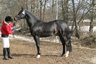 speyksboschdancer_165_6541.jpg