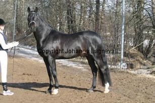 speyksboschdancer_166_6601.jpg