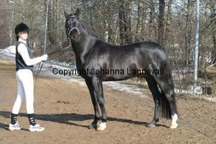 speyksboschdancer_166_6602.jpg