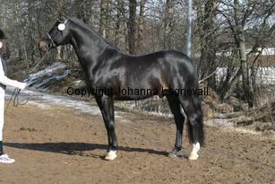 speyksboschdancer_166_6604.jpg