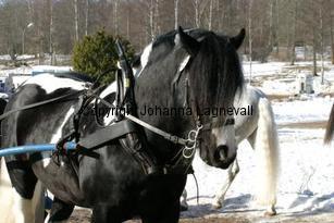 timothy_164_6424.jpg