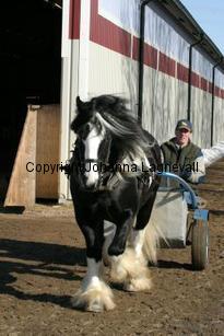 timothy_164_6490.jpg
