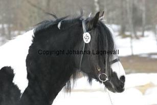 timothy_165_6569.jpg