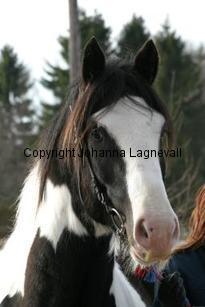 tippexn_163_6362.jpg