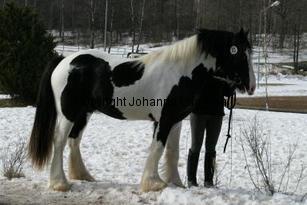 tippexn_165_6548.jpg