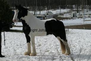 tippexn_165_6550.jpg