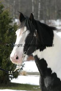 tippexn_165_6551.jpg