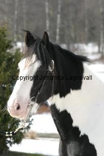 tippexn_165_6552.jpg