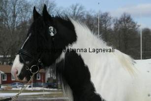 winstonlight_165_6558.jpg