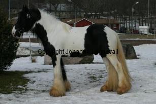 winstonlight_165_6560.jpg