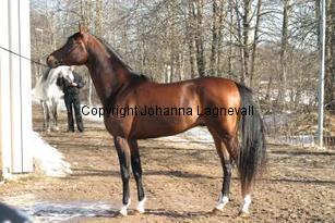 beygali160_6065.jpg