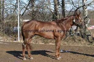 bhenterprise162_6276.jpg