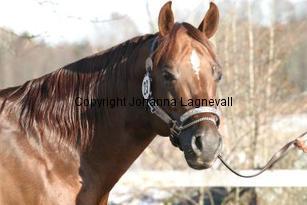 bhenterprise163_6332.jpg