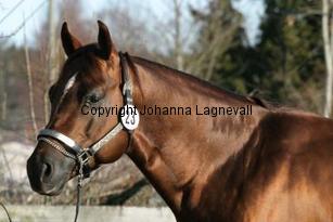 bhenterprise163_6335.jpg
