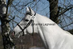 boshan162_6253.jpg