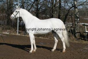 boshan162_6262.jpg