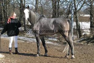 grand161_6200.jpg