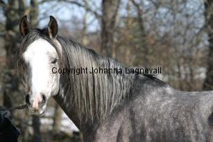 grand162_6201.jpg