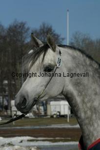 hsexemplar161_6112.jpg