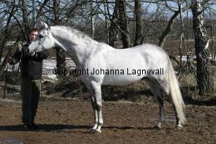 hsexemplar162_6216.jpg