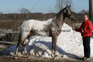 kaossleepwalker162_6286.jpg