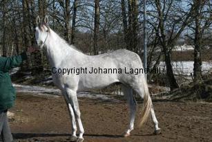 mamba161_6168.jpg