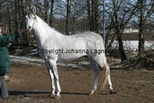 mamba161_6169.jpg