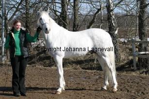 manzinni162_6205.jpg