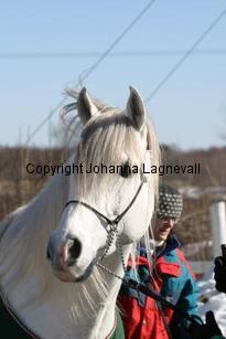 manzinni162_6209.jpg