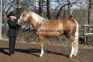 poconiftyman162_6268.jpg
