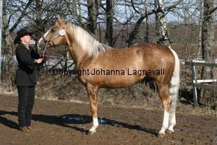poconiftyman162_6269.jpg