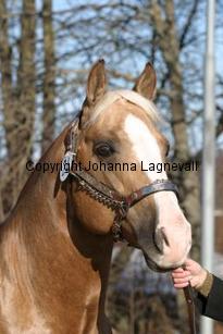 poconiftyman162_6270.jpg