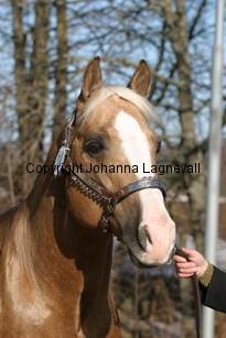 poconiftyman162_6271.jpg