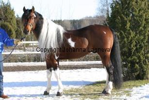 qtsactionking163_6321.jpg