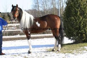 qtsactionking163_6325.jpg