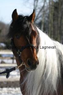 qtsactionking163_6329.jpg