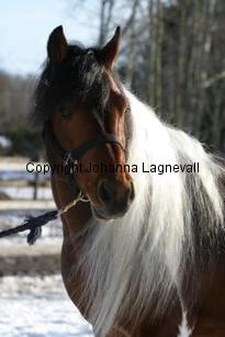 qtsactionking163_6330.jpg