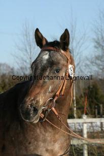 sacredlegacy163_6351.jpg