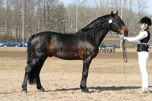 grangeflynnsparrow_172_7225.jpg