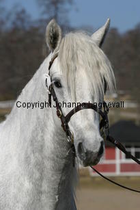 holmtebopaddy_173_7314.jpg