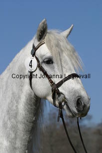 holmtebopaddy_173_7316.jpg
