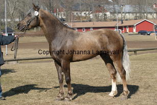 onnarpskiller_173_7319.jpg